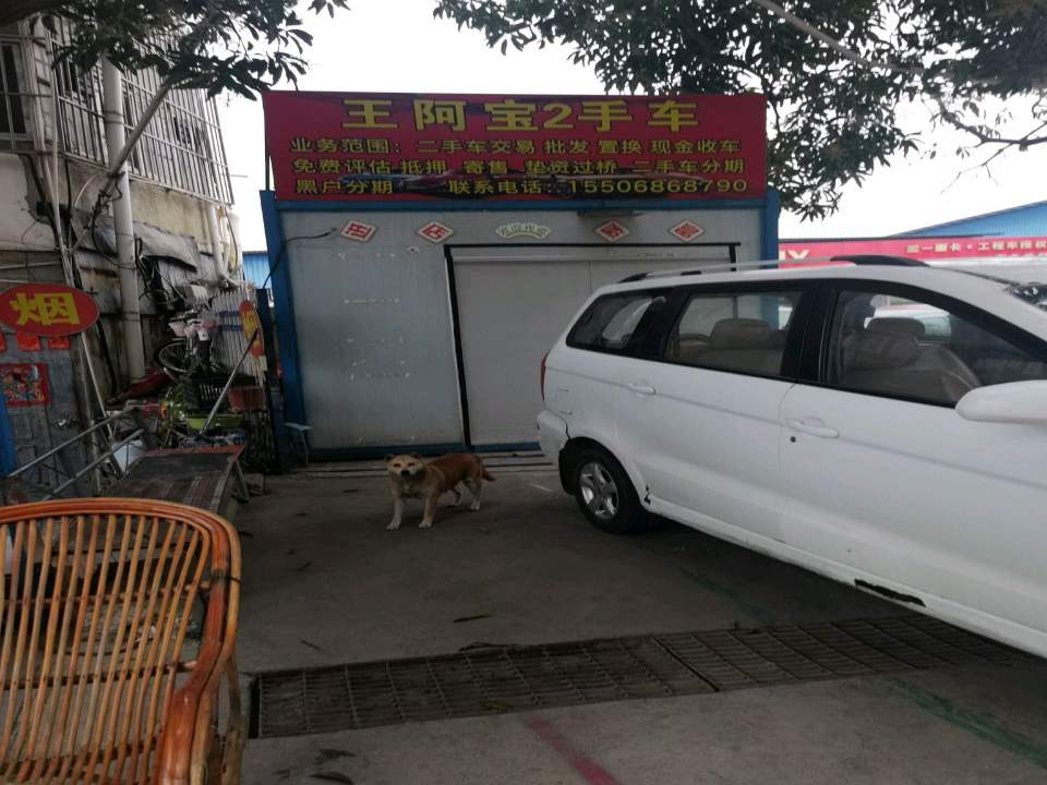 王阿宝2手车