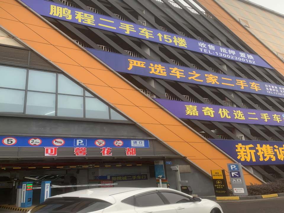 严选车之家二手车(万达广场大渡口店)