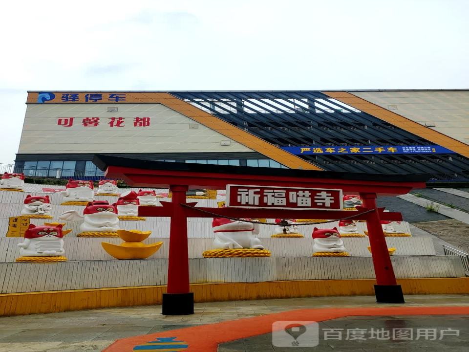 严选车之家二手车(万达广场大渡口店)