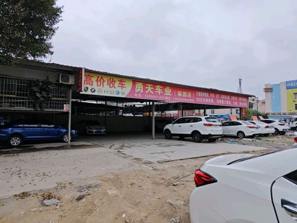 勇天车业(麻园店)