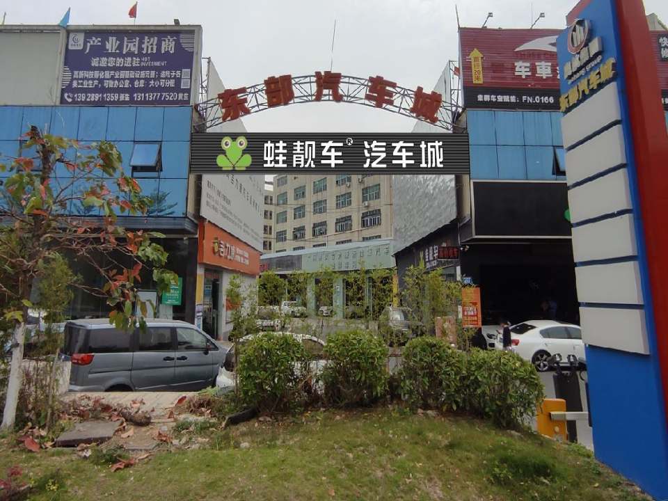 蛙靓车汽车城(广州旗舰店)