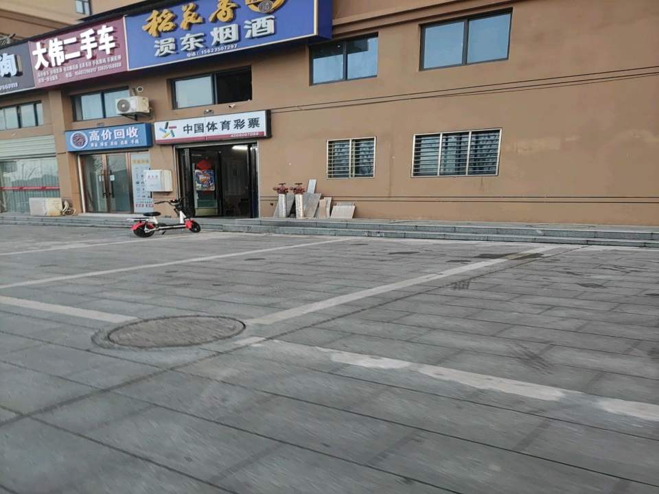 安陆市大伟二手车