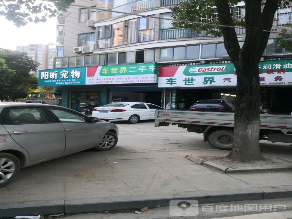 车世界二手车(现代城店)