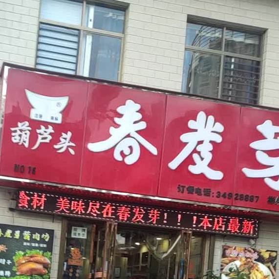 春发芽葫芦头(彬州市店)